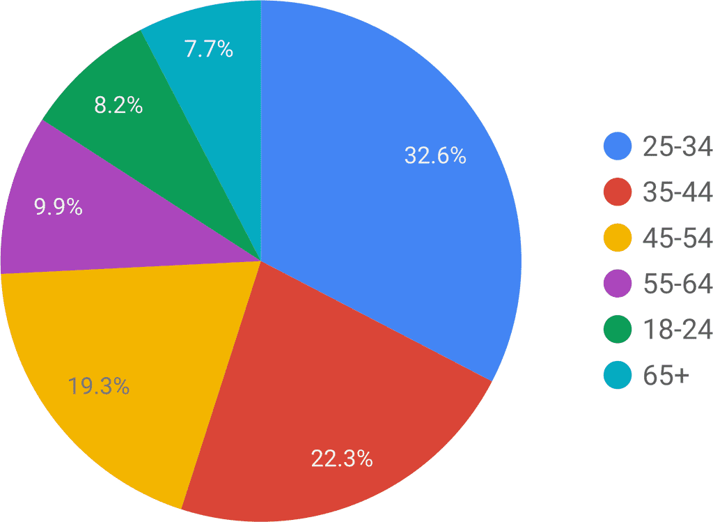 broker_age_pie_chart